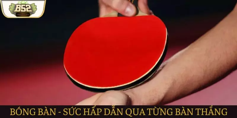 Bóng bàn - Sức hấp dẫn trong từng động tác Bóng bàn - Sức hấp dẫn trong từng động tác