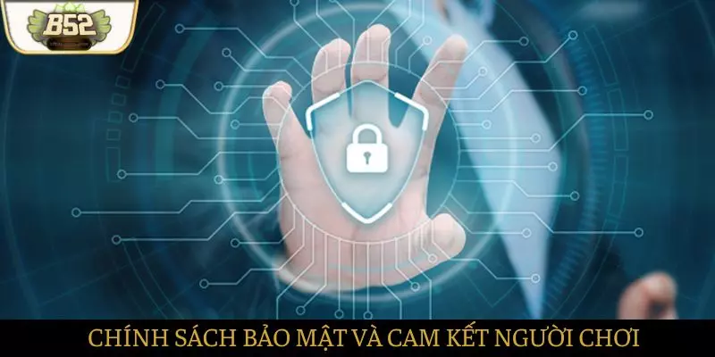 Chính sách bảo mật và những cam kết đối với khách hàng Chính sách bảo mật và những cam kết đối với khách hàng