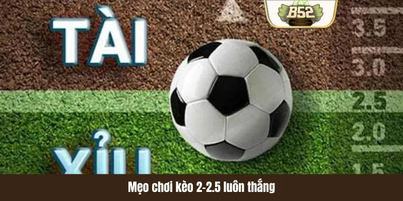 Mẹo chơi kèo 2-2.5 luôn thắng Mẹo chơi kèo 2-2.5 luôn thắng
