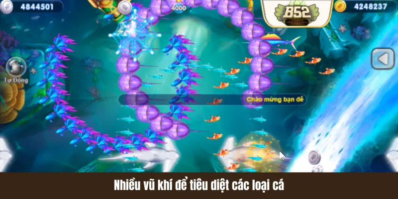 Nhiều vũ khí để tiêu diệt các loại cá Nhiều vũ khí để tiêu diệt các loại cá