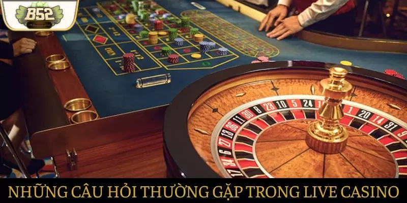Những câu hỏi thường gặp trong các buổi Live Casino